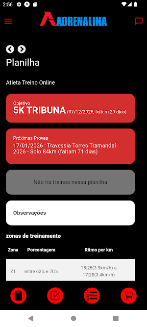 Adrenalina Screenshot 2