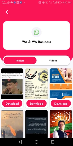 Quick Social Video Downloader Screenshot 3