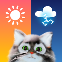 Weather & Cute Cat - OpenPet