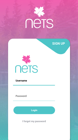Nets Screenshot 1
