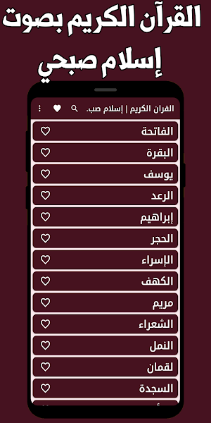 القران كامل اسلام صبحي بدون نت Screenshot 3