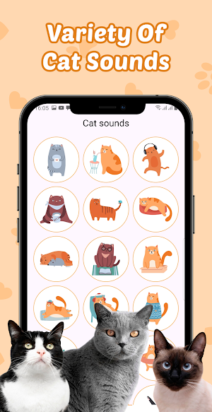 Cat Translator - Human to Cat Screenshot 3