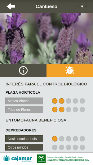 PlantEN (Plantas y Enemigos) Screenshot 2
