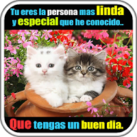 Frases de Cariño con Imagenes