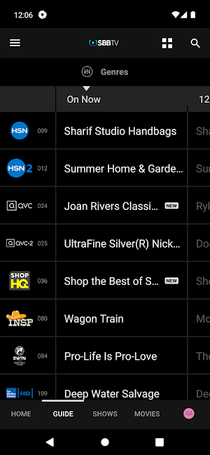 SBB TV Screenshot 1