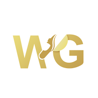 Dr Wael Ghanem