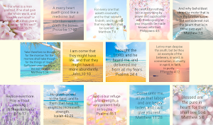 Bible Verses 2 Screenshot 0