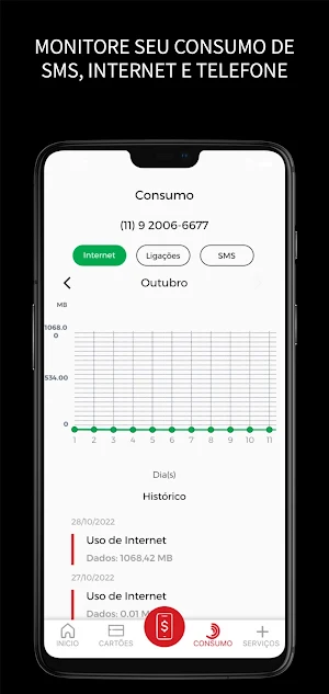 FlaChip Screenshot 2