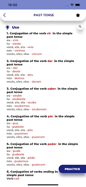 Portuguese GrammarーLesson・Test Screenshot 2