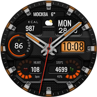 Hybrid TAKTIK WS79 Watch face