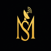 MS NET
