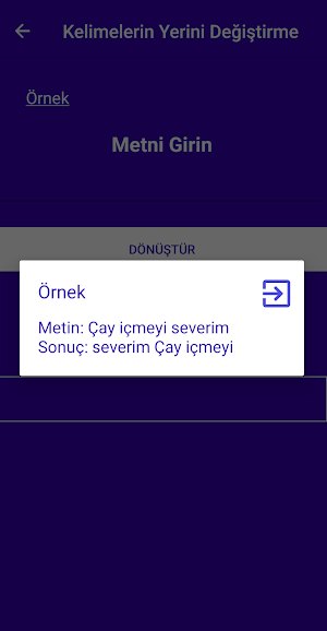 Kelime Dönüştürme (Harf Sayısı Kuş Dili Ters Yazı) Screenshot 2