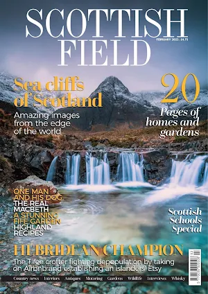 Scottish Field Magazine Screenshot 3