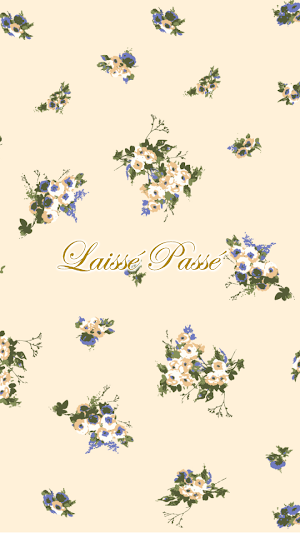 LAISSE PASSE-Elegant Icon & WP Screenshot 3