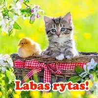 Labas rytas