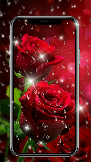 Red Rose Live Wallpapers HD Screenshot 0