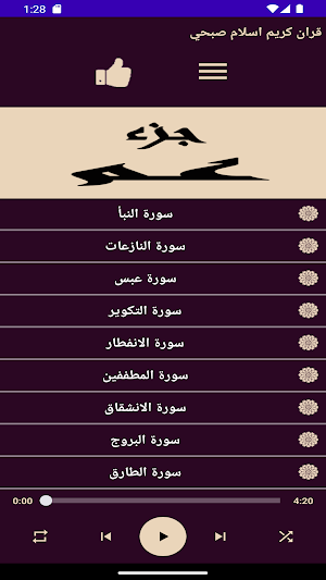 قران كريم بصوت اسلام صبحي Screenshot 1