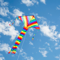 Kite Flying Wallpaper