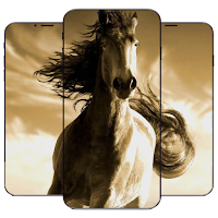 Horse Wallpaper HD