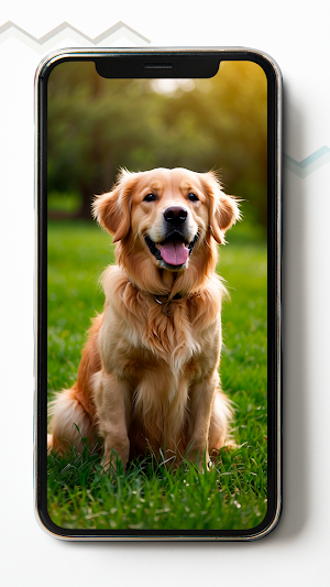 Golden Retriever HD Wallpapers Screenshot 1