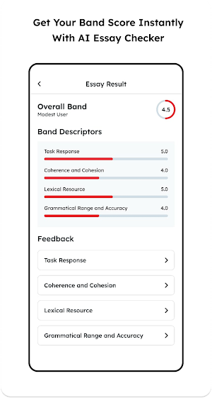 IELTS Essay Checker Screenshot 1