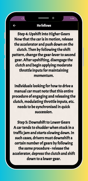 Basics of learning to drive Screenshot 2