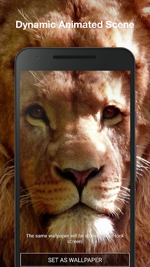 Real 3D Animals Live Wallpaper Screenshot 1