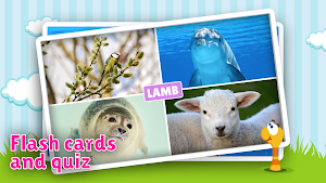 Animal flashcard & sounds for kids & toddlers Screenshot 1