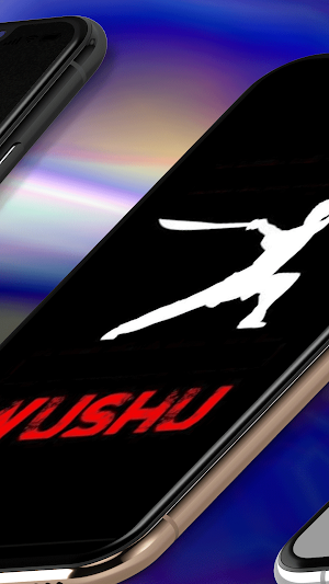 Martial Arts Wallpaper HD Screenshot 2