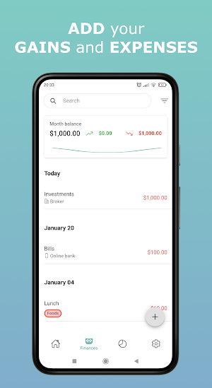 Ion Finances Screenshot 1