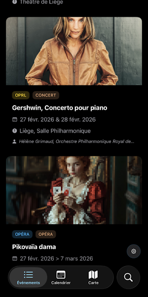 Liège Culture Screenshot 1