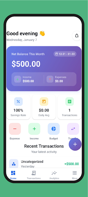 BudgetPulse Screenshot 0