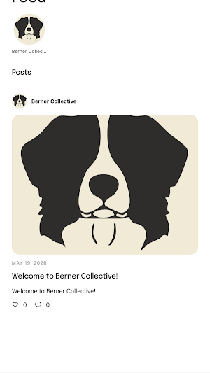 Berner Collective Screenshot 3