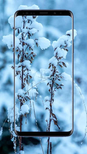 Snow Wallpapers and Backgrounds Screenshot 1