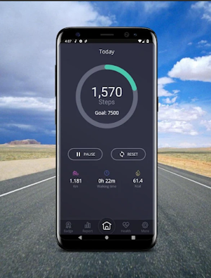 Pedometer Screenshot 0