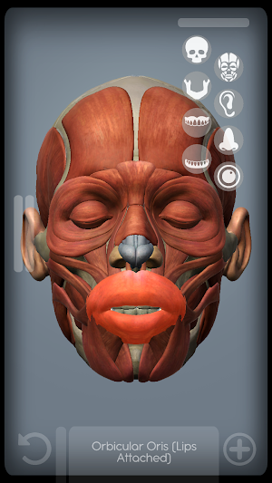 SKULL Graph Screenshot 1