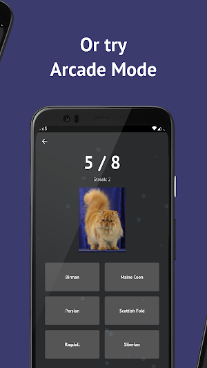 Cat Breeds: Quiz Screenshot 2
