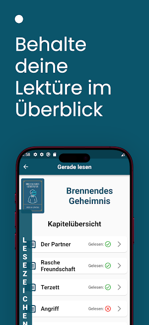 Brennendes Geheimnis - Buch Screenshot 2