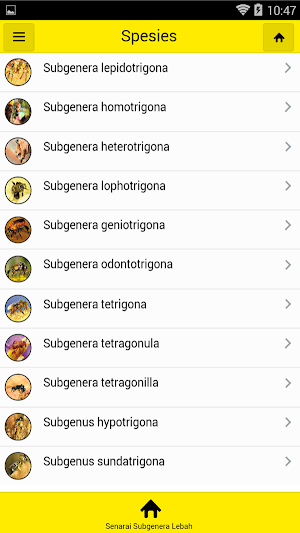MARDI Kelulut Screenshot 3