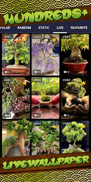 bonsai wallpaper Screenshot 2