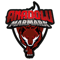 Anadolu Marmara Spor Okulları