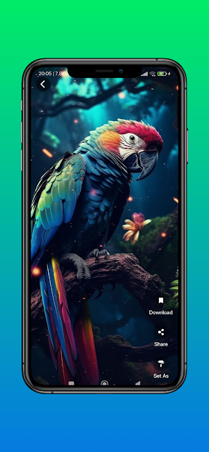 cute parrots HD wallpapers Screenshot 0