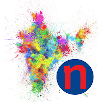 Nippon India Colors