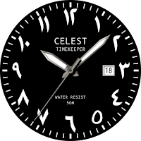 CELEST5458 Analog Watch