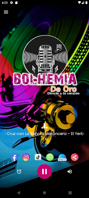 Bolhemia de Oro Screenshot 1