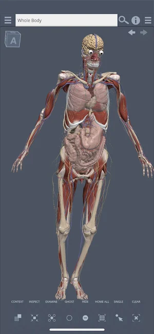 Primal's 3D Whole body Screenshot 0