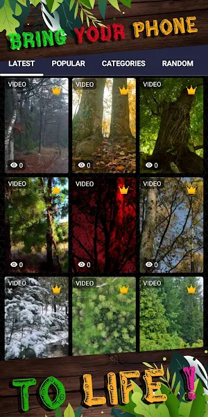 forest background Screenshot 1