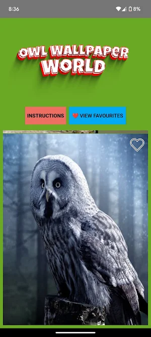 Owl Wallpaper World Screenshot 0