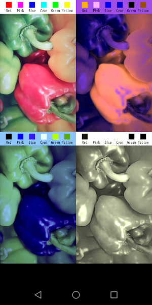 Color Vision Helper Screenshot 0