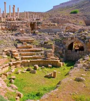 irbid city Screenshot 2